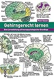 Gehirngerecht lernen by