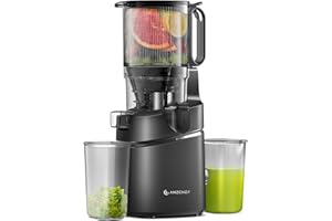 AMZCHEF Automatic Cold Press Juicer Machines 250W Liberate Your Hands -145MM Opening and 2L Capacity Slow Juicers for Whole Fruit and Vegetable, with Triple Filter, Safety Lock, Classic Black