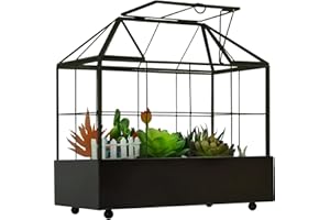 YIMORENCE V Large Tall Plant Terrarium Glass – Glass Greenhouse Terrarium with Lid and Tray,Indoor Tabletop Orchid Succulent Cacti Terrarium Kit 9.5”X9.8”X5.6”