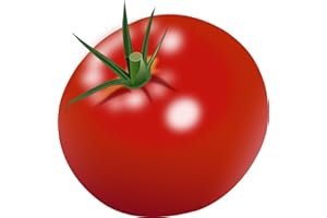 LIEFERFRUCHT Tomaten rund, schnittfest und günstig / 6 kg Karton