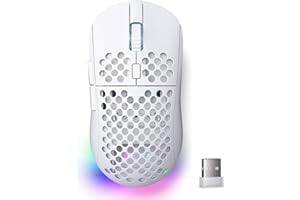 Dierya M1 Souris de Jeu sans Fil, Capteur Optique 24 000 DPI, Léger 90g, 6 Boutons Programmables, Éclairage RGB, Autonomie 180H, 2.4GHz/Bluetooth/USB-C Souris Gamer, Blanc
