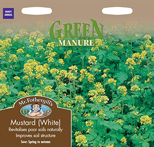 Graines De Moutarde Blanche - Sachet De 500 Graines Reproductibles BIO - Pour Potager, Aromatique, Permaculture - Non Hybrides, Sans Traitement Chimique - 10