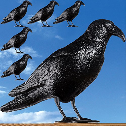 Taubenschreck Krähe schwarz – 3x - 3
