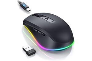 seenda Kabellose Maus mit Jiggler, Wiederaufladbare 2.4G Funkmaus mit Beleuchtung, Leise Wireless Mouse für PC, Laptop, Computer, Windows - 2000 DPI - Schwarz
