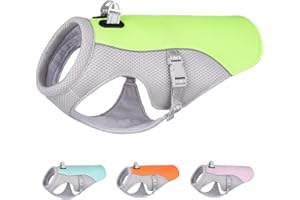 ENGEL WEMANG Gilet de refroidissement pour chien, taille moyenne et grande - Pour les activités de plein air, la randonnée, l'entraînement, la lutte contre la chaleur chez les chiens, vert XXL