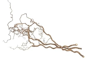 ‎NADECO NaDeco Korkenzieherzweige 3er Set – ca. 100–120cm Lange Haselzweige Natur | Dekozweige für Bodenvase & Osterdeko | Verschnörkelter AST | Sitzstange für Vögel & Wellensittiche