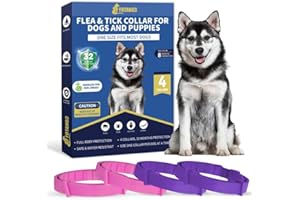 YOTANGO Collare Antiparassitario per Cani, 4 Pezzi Collare Antipulci Cane, Naturale Collare Cane Antiparassitario, Regolabile 32 Mesi di Protezione Antizecche per Tutti i Tipi di Cani(Rosa&Viola)