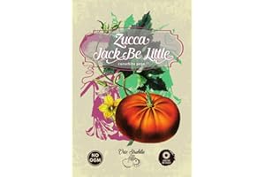 GENERICO microzucca,jack be little,cucurbita pepo,gr 1,semi rari,semi strani, orto strabilia