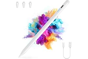 AMBIENDEN Penna per Tablet, 15 Min Ricarica Rapida USB-C, Pixel da 0,1 mm, Sensibilità All'inclinazione per il Rifiuto del Palmo Della Mano, Penna per iPad 11 A16/10/9/8/7/6, ipad Mini 6/5, Air 3/4/5/