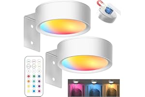 YOUYIKE 2 Piezas Aplique Luz Cuadros Sin Cable, LED Cuadro Mando a Distancia, 13 Modos de Iluminación, Regulable, Luz Magnética LED para Marco, Pared, Luces Artísticas Para (Blanco)