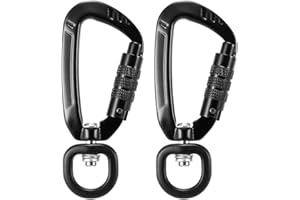Lixada 4KN Moschettone Girevole Forma D 360° Ruotabile Portatile Piccolo Moschettone Spinner Blocco Automatico per L'arrampicata Campeggio Guinzaglio per Animali Domestici Amaca 2 Pezzi