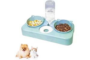 KAKBRT Gato Cuenco,Comedor Gato,3 en 1 Cuenco del Gato con Bebedero Automático,8° Inclinación Comedero Tazón de Alimentación Gatos y Perros,para Gatos y Perros Pequeños (Verde)