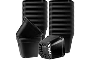 Muzhira Macetas para Semillas, 10cm 50pcs Macetas de Cultivo Cuadrado para Plantas para Interior/Exterior Jardín Plantas Plántulas y Semillas