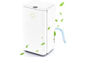 JERVAMNI Deumidificatore 12L/24H, Deumidificatore Casa Muffa Portatile per Asciugatura Biancheria, Silenzioso, Modalità Auto/Asciugatura/Sleep, Display Umidità, Timer, Scarico Continuo, per Bagno Cantina