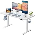 HUANUO One-Piece Desktop Standing Desk 120x80cm with Brushless Motor, Height Adjustable Standing Desk, Electric Sit Stand Desk for Home Office, Stand up Desk with Whole Board