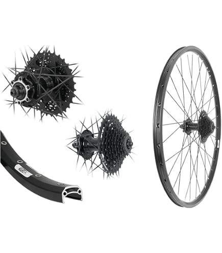 28 Zoll Hinterrad BE19 Disc schwarz 6-Loch 8-10 Fach Kassette schwarz Schnellspanner 622-19 Sport & Freizeit