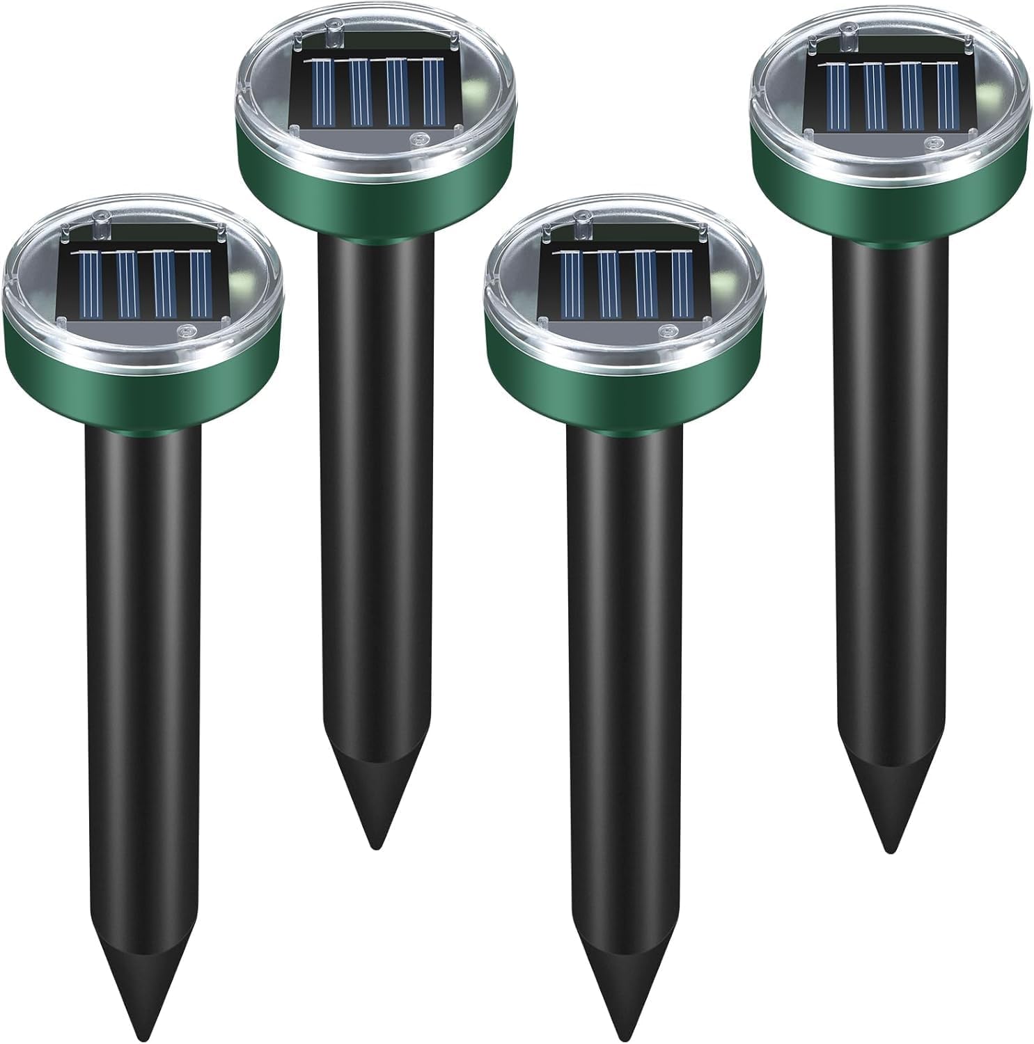 Vue 10