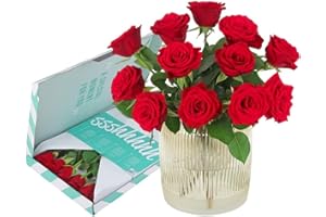 BloomPost Red Roses - Letterbox Gift - Fresh Flowers Delivered - Bouquet Perfect for Mothers Day, Birthdays, Anniversaries and Thank You Gifts - Next Day Free UK Delivery
