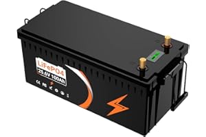 HXRFOAK Lifepo4 batteria 24V 100AH, batteria al litio ferro fosfato, 5000 cicli di vita, Perfetta per RV, Motore Elettrico, Energetico Domestico e Off Grid