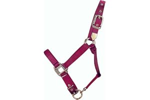 Hamilton 1-Inch Nylon Adjustable Horse Halter, Large Size