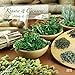 Kräuter & Gewürze 2015 - Herbs & Spices - Broschürenkalender (30 x 60 geöffnet) - Küchenplaner by 