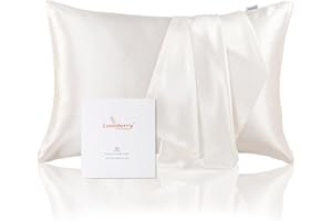 LOOMBERRY 22 Momme 100% Natural Pure Mulberry Silk Pillowcase for Hair and Skin (1 Piece) Both Sides 22 Momme Highest Grade 6A with Hidden Zipper Hypoallergenic (White Natural, Standard 50x66CM)