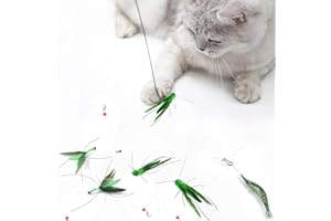 Hjvvr 5PCS Cat Wand Toy Refills - Interactive Cat Teaser Feather Attachments, Insect Cat Toy Replacements for Indoor Cats & Kittens