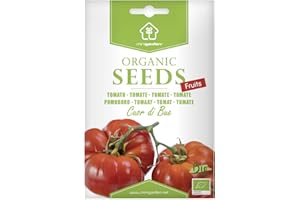Tomate Cœur de bœuf "Cuor di bue", Graines certifiées biologiques prêt à Pousser Minigarden, 100% Naturelles sans Propagateurs Chimiques ni Génie Génétique, inclut entre 125 et 150 graines