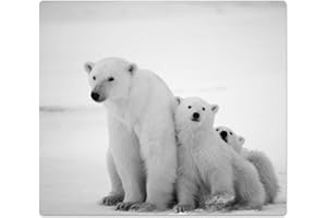 DekoGlas Herdabdeckplatte inkl. Noppen 'Eisbär', gehärtetes Glas, Herd Ceranfeld Abdeckung, einteilig universal 52x60 cm