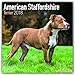 American Staffordshire Terrier - Amstaff 2018: Original Avonside-Kalender [Mehrsprachig] [Kalender] (Wall-Kalender) by 