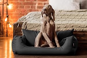 tierlando NEMO Hundebett Hundesofa Hundekorb Katzenbett Größe: N1 | Farbe: 02 Graphit