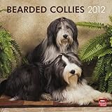 Bearded Collies 2012 by 