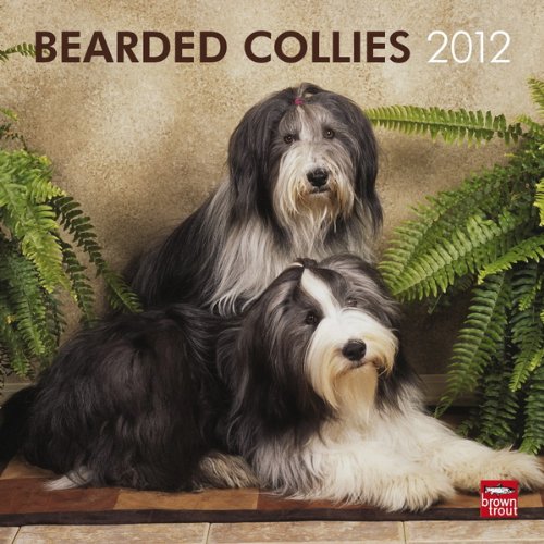 Bearded Collies 2012