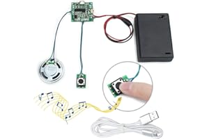 WayinTop Recordable Sound Module Button Control 8MB MP3 WAV Music Voice Player Programmable Board USB Downloadable Rechargeable Audio with AA Battery Box and USB Cable for DIY Music Creative Gift