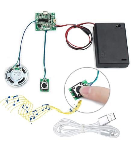 Talking Products, Modulo chip audio MP3, memoria da 4 MB, con scatola batteria AAA. Crea il tuo modello musicale o regalo personalizzato (Sensore di luce Talking Products, Modulo chip audio MP3, memoria da 4 MB, con scatola batteria AAA. Crea il tuo modello musicale o regalo personalizzato (Sensore di luce
