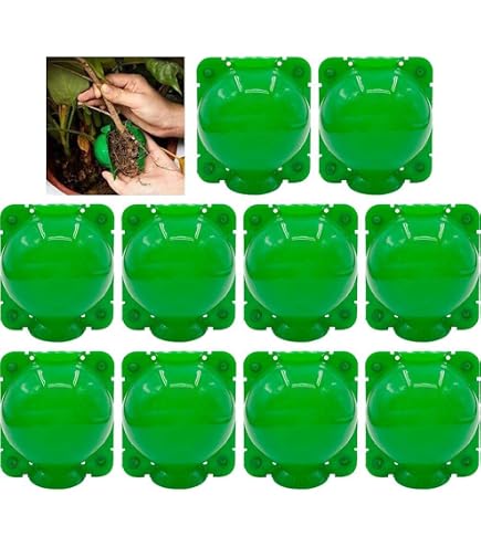 Kit Enracinement Plantes CTForest - 6 Boules Greffage Noir Et Blanc - Pour Boutures Et Marquages