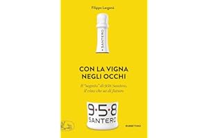 Con la vigna negli occhi. Il «segreto» di 958 Santero, il vino che sa di futuro