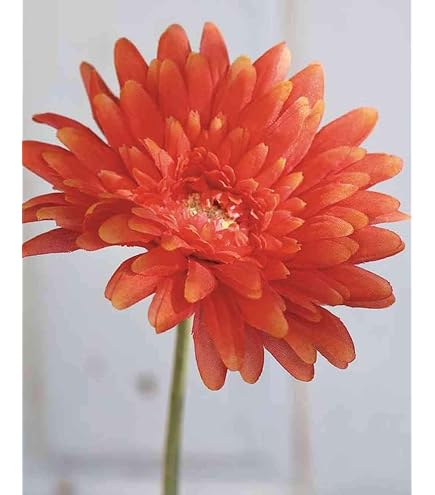 Gerbera Artificiale QIUDONG Gialla Con Stelo, Lunghezza 50 Cm, Fiore Decorativo Finto Per Casa - 2