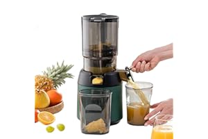 FACOLL 300W Professional Slow Juicer, Juicer Machines, Cold Press Masticating Juicer with 13cm Feeding Chute, Portable Pomace Separation Juicer Fruit juicer, for Fruits Vegetables green