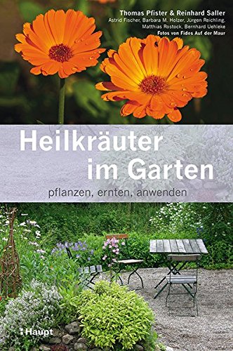 Heilkräuter im Garten: pflanzen, ernten, anwenden Buchen
