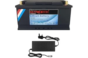 FLLYROWER Batería LifePo4 de 12 V 100 Ah ciclos profundos con batería perfecta de fosfato de hierro y litio BMS de 100 A para motor de arrastre, paneles solares, RV, barco, carrito de golf, aplicaciones fuera