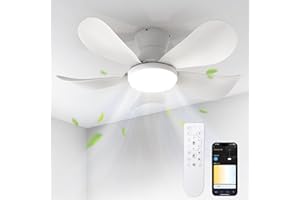 BLITZWILL Ventilatore da Soffitto con Luce, Ø66cm Ventilatori da soffitto con Illuminazione LED, Controllo App&Telecomando, 6 Velocità, 3 Colori Dimmerabile, 5 Pale, Silenzioso, Estate-Inverno,Timer
