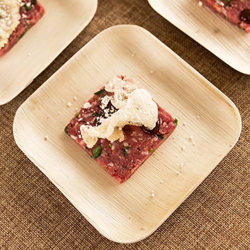 Verterra Compostable Dinnerware- 6" Square Appetizer and Desert Plate (300-Pack), 300, Natural