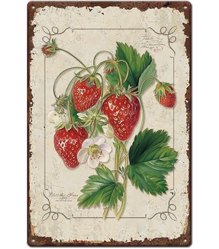 SUPERDANT Plaque Metal Vintage Pour Pizza Plaque Decorative Metal Pour Pizza Faite Maison Affiche Rétro En Plaque Murale Decorative Pour Pizza Décoration Murale Vintage Decoration