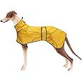 lurcher raincoat