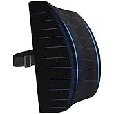 Wiforte Orthopedic Back and Waist Support Cushion &ndash; Ergonomic Waist Pillow, Car Seat, Office Chair and Waist for Home Use