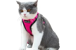 Mr. Peanut's PurrTrek reflektierendes Katzengeschirr mit passender Leine (Größe XS, Pink)