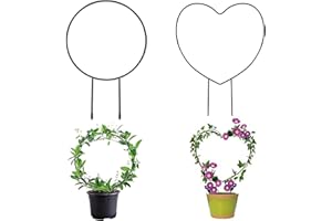 AGHOER Rankhilfe Zimmerpflanzen Rankgitter Metall, 2 Stück Garten Pflanzenhalter,Garten Pflanzenstütze,Herz/Runde Form für Kletterblume Gemüse Rose Rattan