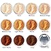 Intelligent Cosmetics® mineral make up foundation, setting veil, concealer, natural mineral ingredients SELECT YOUR COLOUR (1x Empty Sifter Jar)