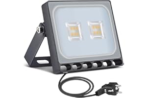 papasbox Reflektor LED 10 W, reflektor budowlany z wtyczką, wodoszczelny IP65, 3000 K, ciepła biel, idealna lampa ścienna do ogrodu, garażu, hotelu